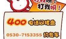 菏泽热点爆料新闻网最新,聚焦民生热点，解码城市变迁