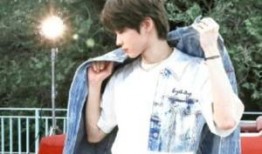 周子杰爆料连淮伟视频,揭秘背后惊人内幕