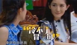 爆料小刀谢娜视频播放下载,播放下载量激增！